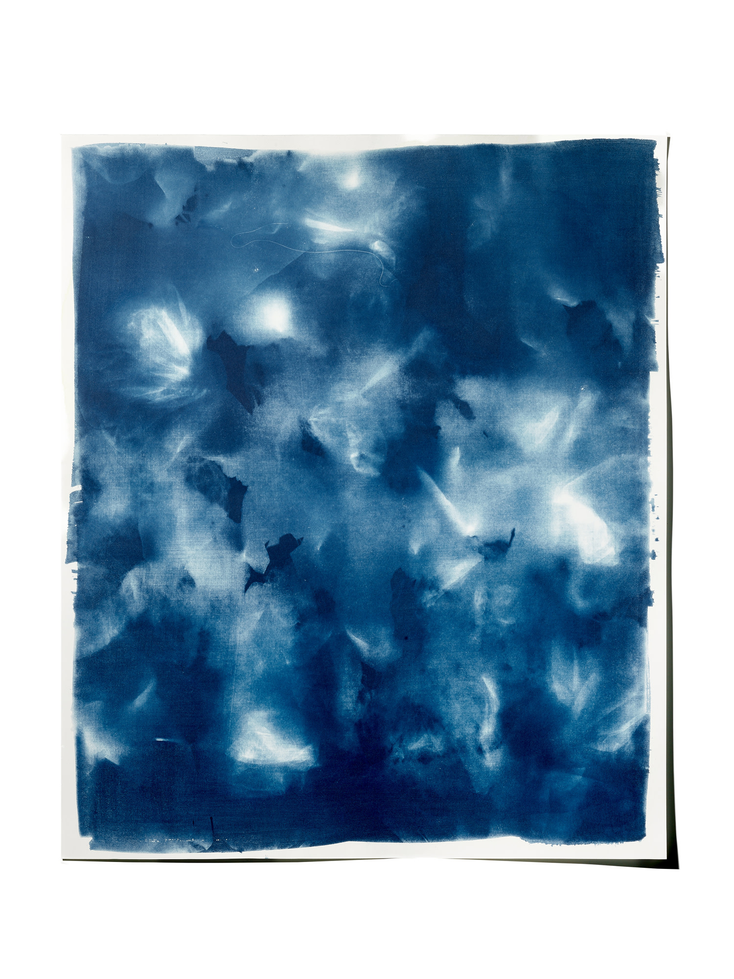 STUDIO SOMMER Original Cyanotypie - Unikat 50x60cm FRAGMENTS