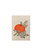 TOGETHERY Riso Karte mit Couvert - ORANGE