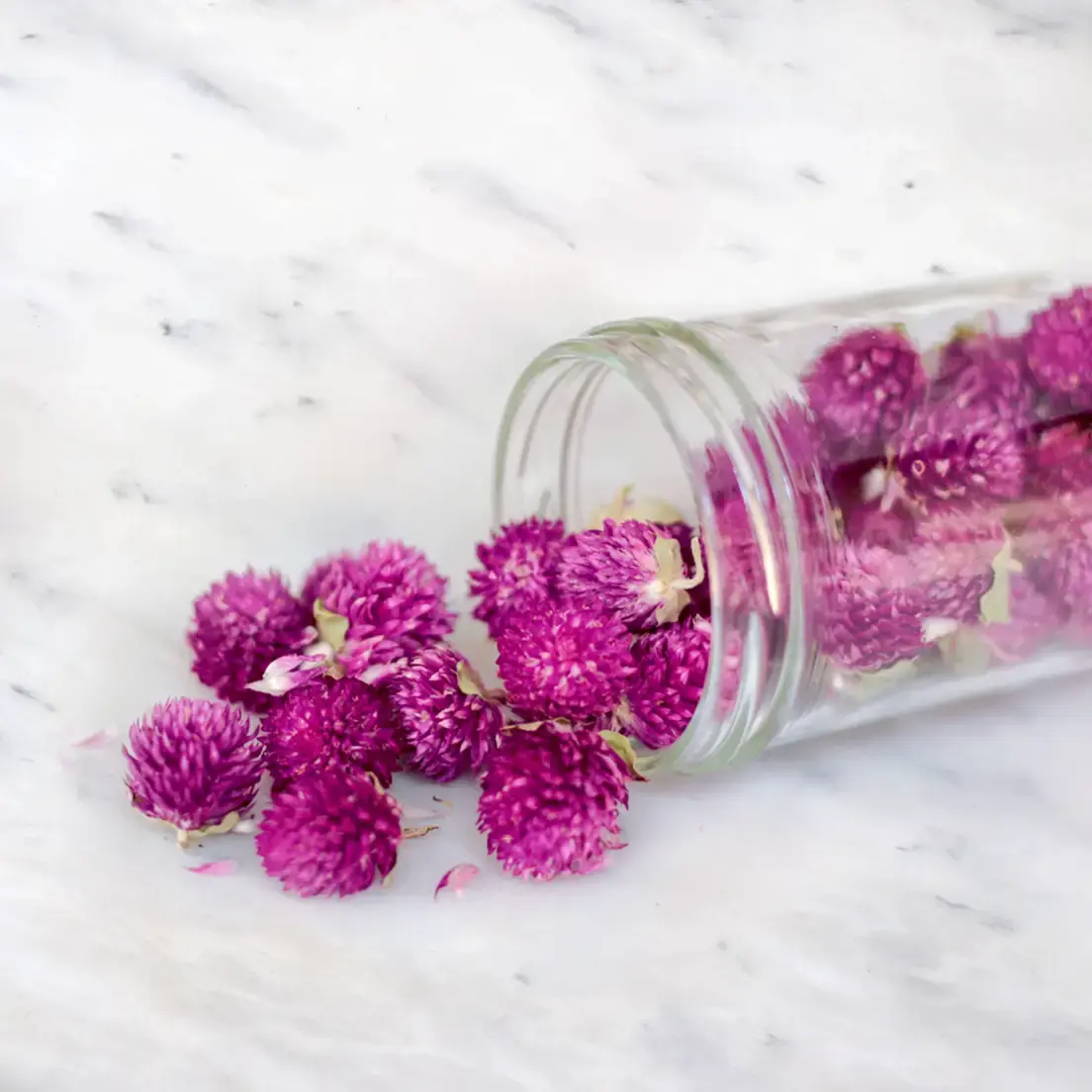 Blumen-Tee verschiedene Aromen