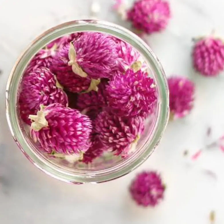 Blumen-Tee verschiedene Aromen