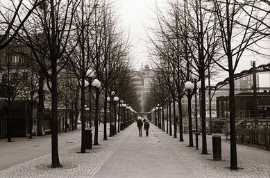 ILFORD PAN 400 black and white film