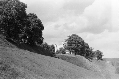 ILFORD PAN 400 black and white film