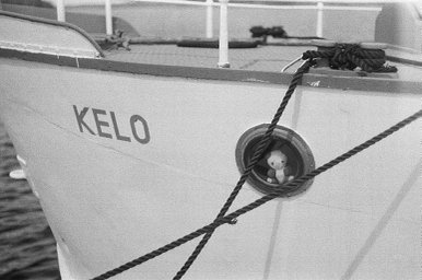 ILFORD PAN 400 black and white film