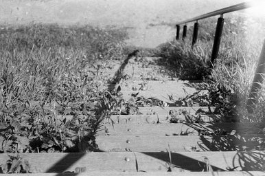 ILFORD PAN 400 black and white film