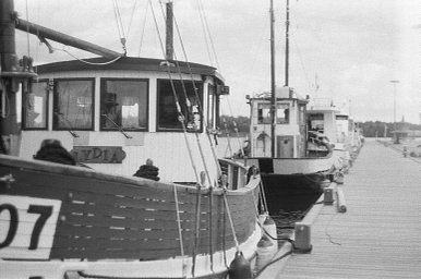 ILFORD PAN 400 black and white film