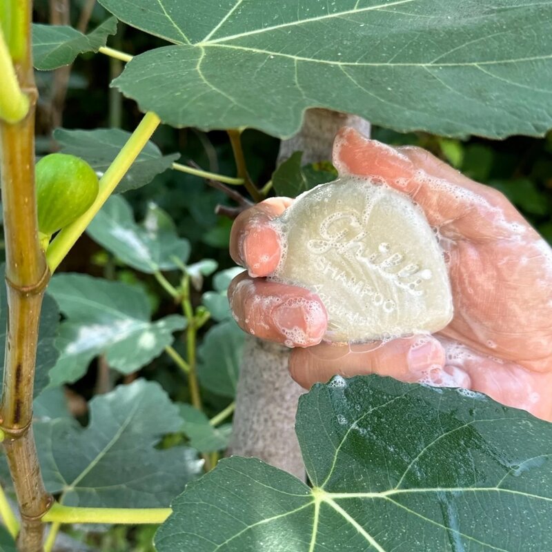 Shampoo Bar - verschiedene Düfte