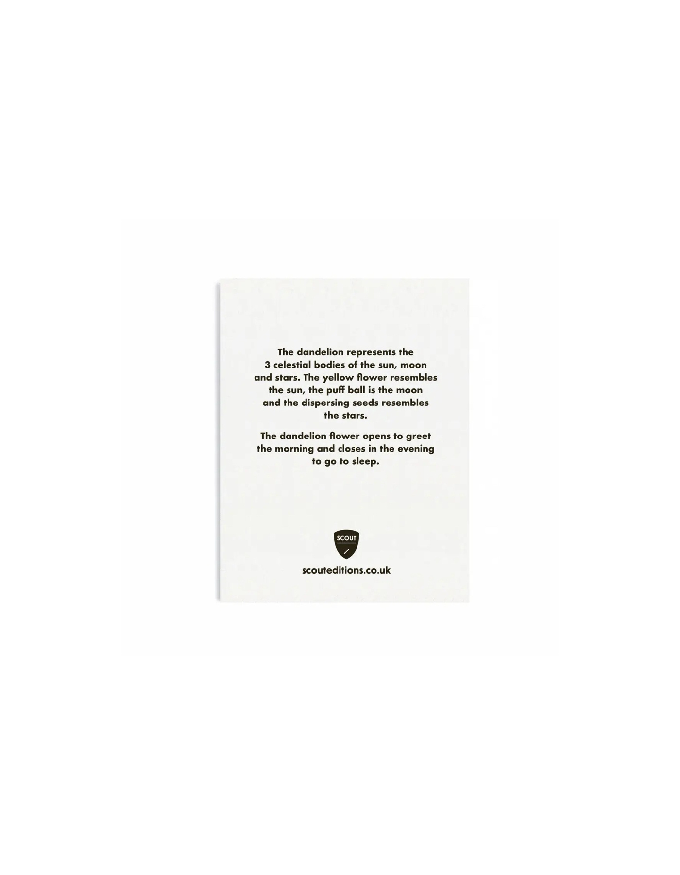 SCOUT EDITIONS Kleine Doppelkarte Löwenzahn