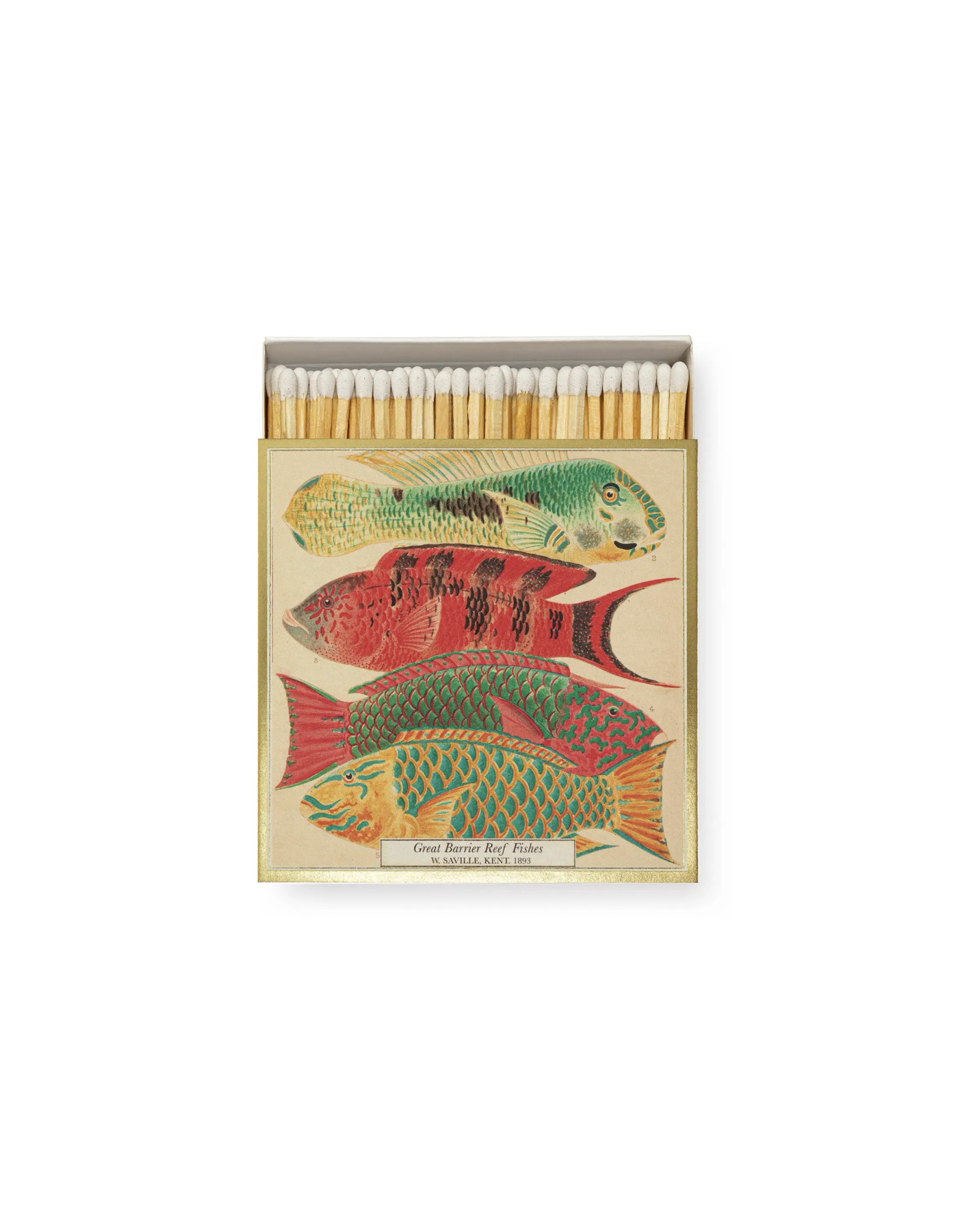 ARCHIVIST GALLERY Fishes Luxury Matches – Streichholzschachtel