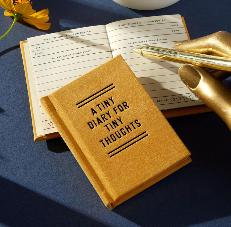A Tiny Diary for Tiny Thoughts