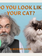 Do you look like your cat?