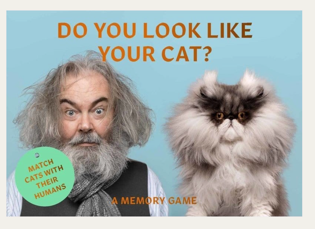 Do you look like your cat?