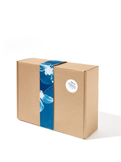 NOUVEL ÉTÉ Cyanotype Starter Kit
