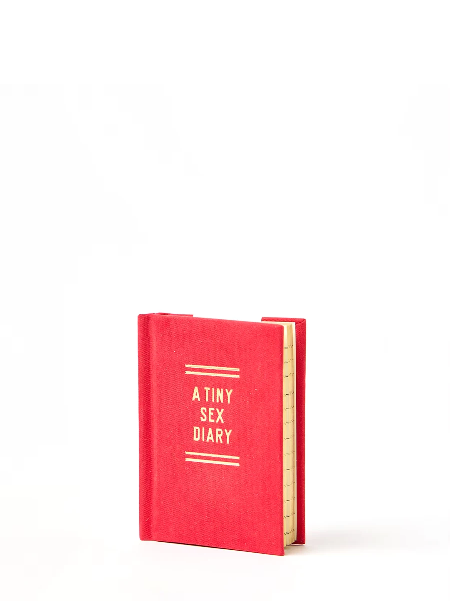 A Tiny Sex Diary