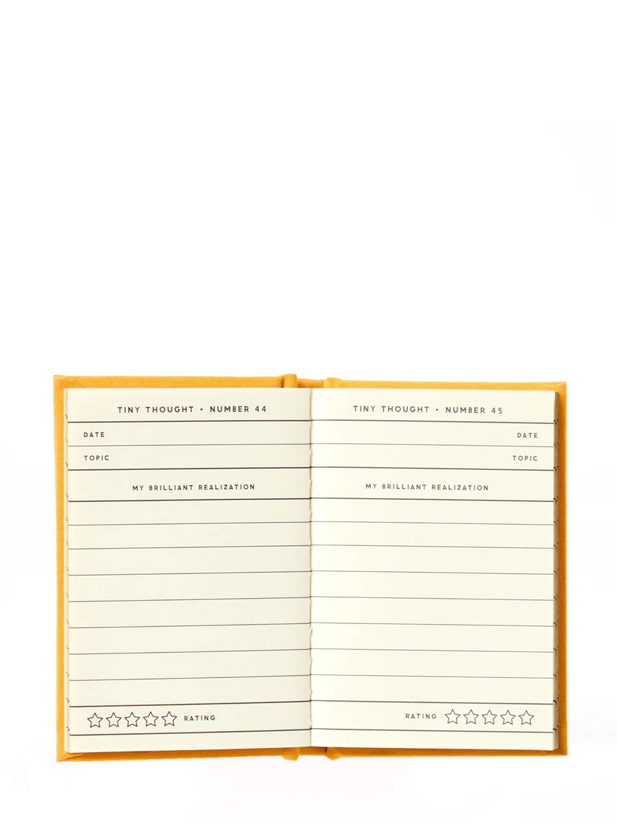 A Tiny Diary for Tiny Thoughts