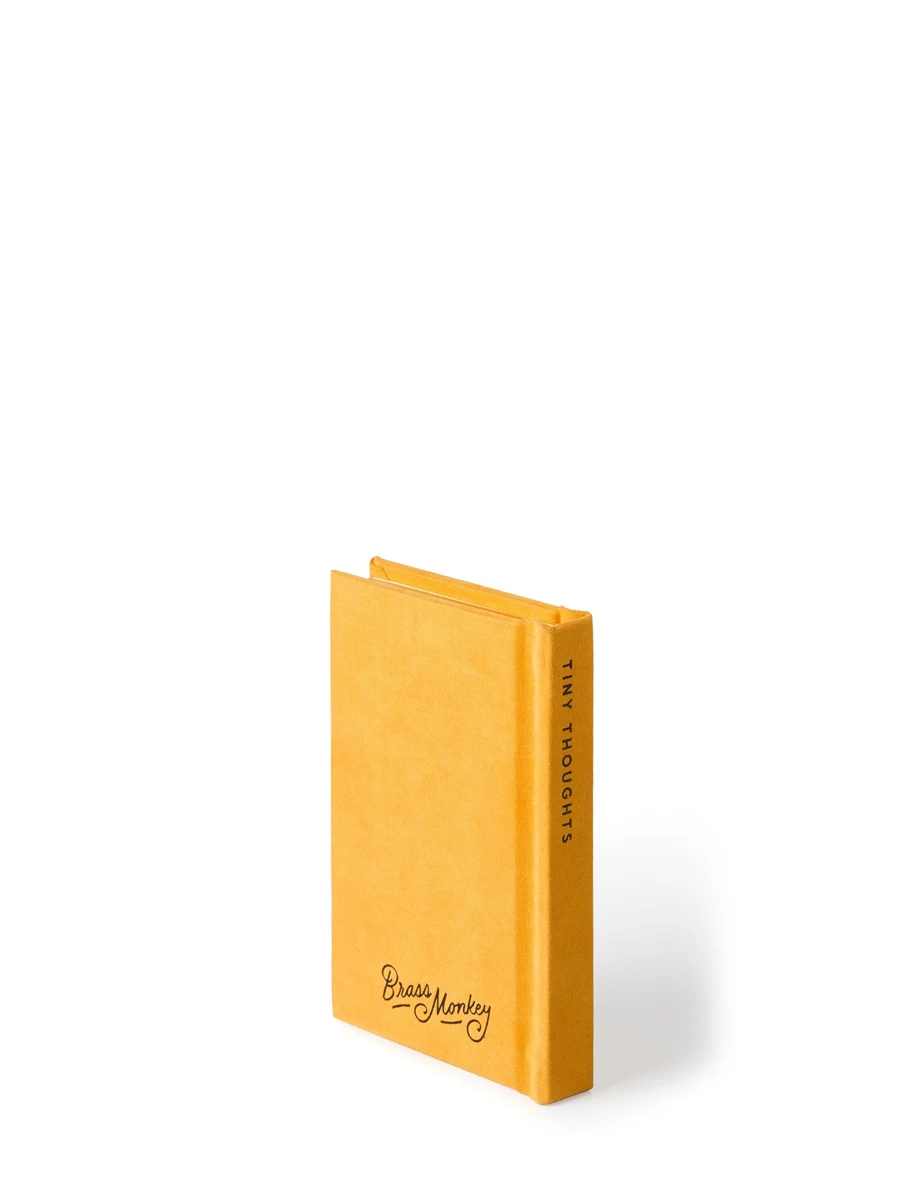 A Tiny Diary for Tiny Thoughts