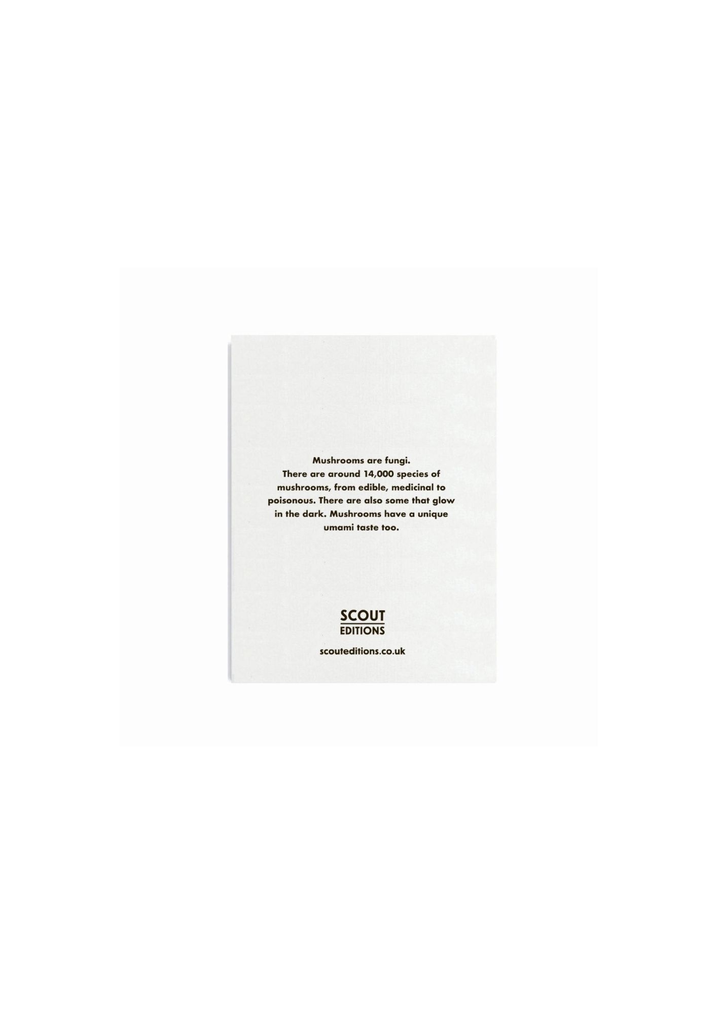 SCOUT EDITIONS Kleine Doppelkarte Pilze
