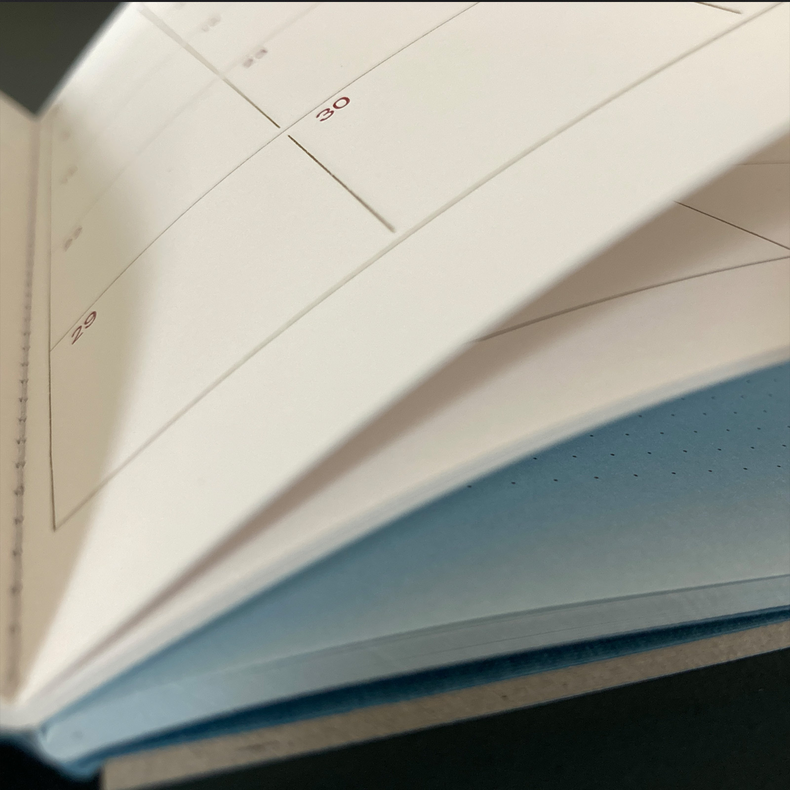 LE TYPOGRAPHE Feste Monatsagenda + Notizheft 2026  A5– Japanisches Papier