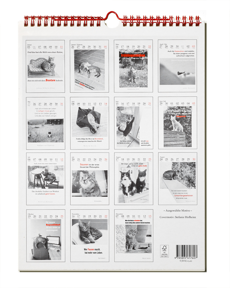 Der literarische Katzenkalender 2026