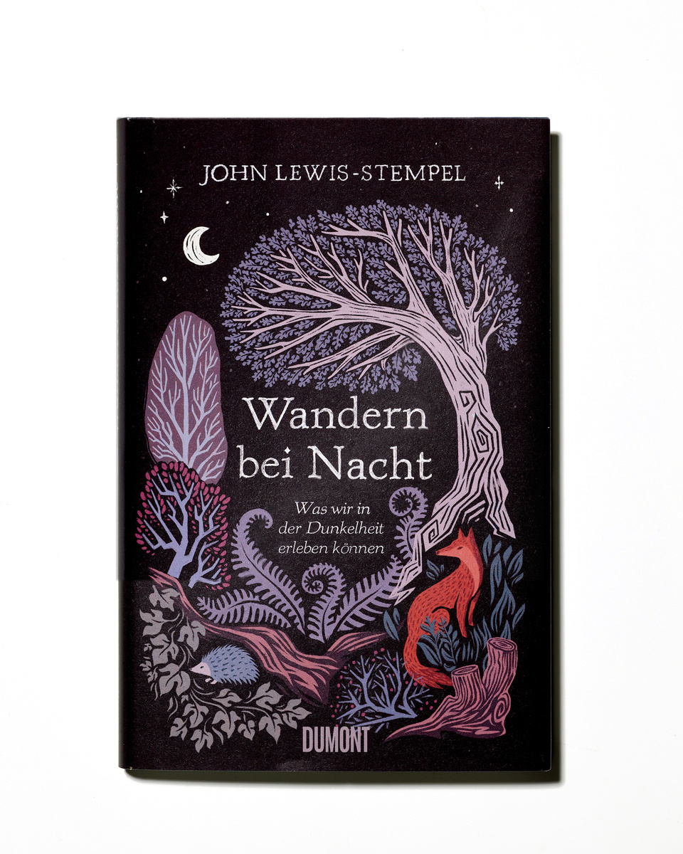 Wandern bei Nacht – Was wir in der Dunkelheit erleben können