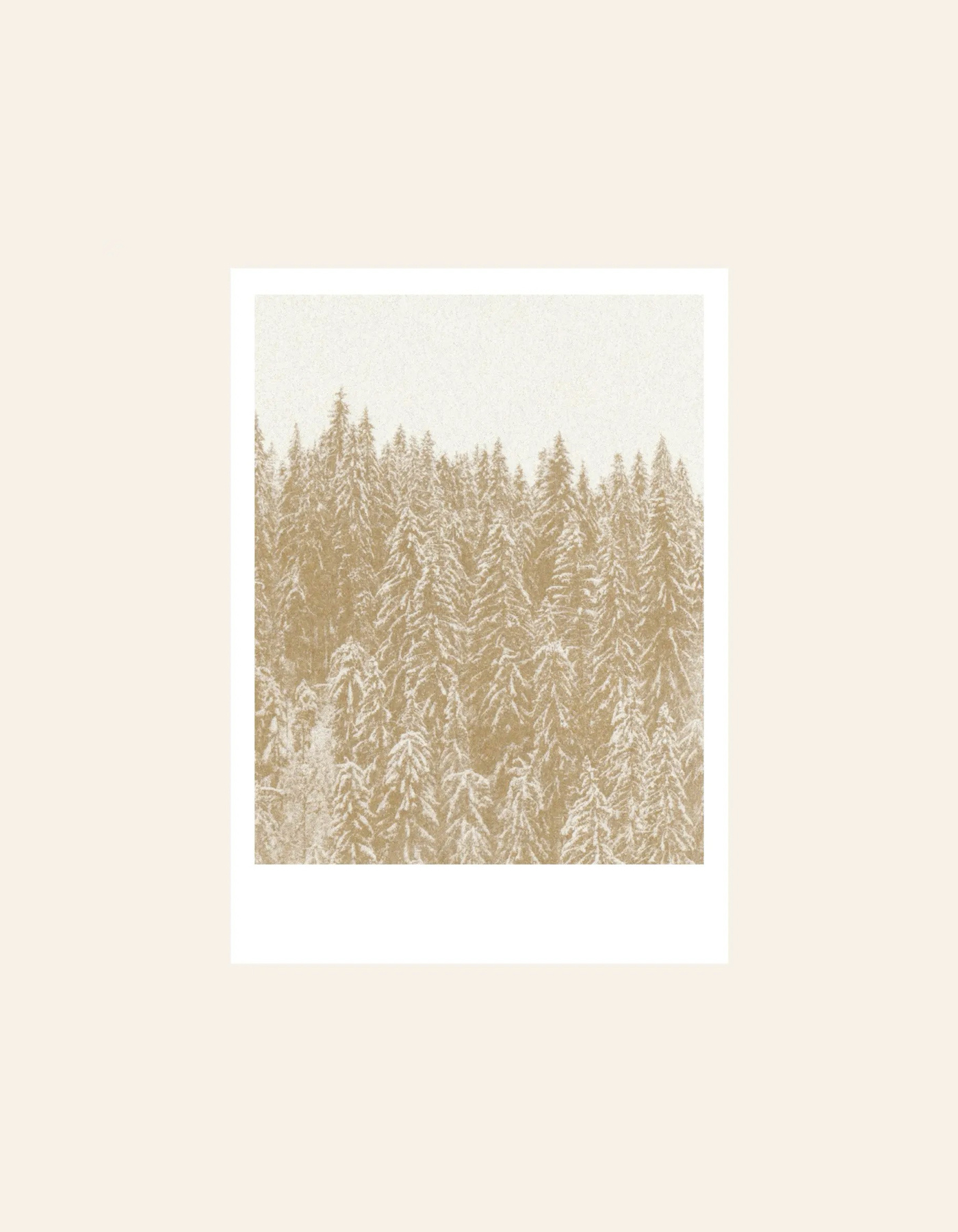 HERR UND FRAU RIO Riso Karte Tannenwald & transparentes Couvert