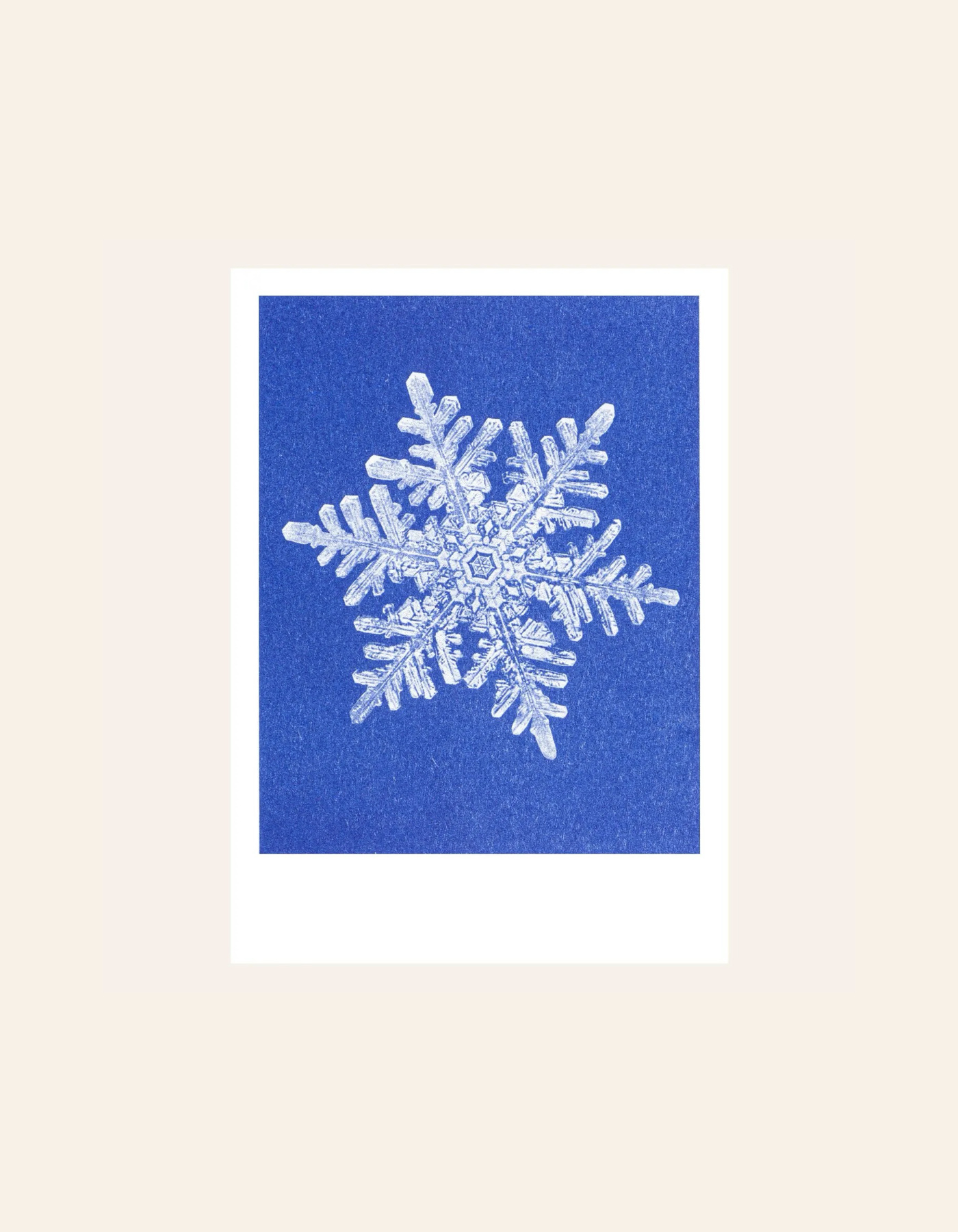 HERR UND FRAU RIO Riso Karte Schneeflocke & transparentes Couvert