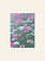 HERR UND FRAU RIO Riso Karte Blumenwiese grün/pink & transparentes Couvert