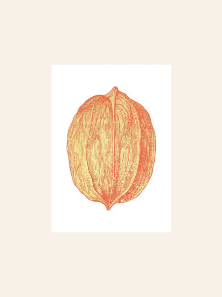 HERR UND FRAU RIO Riso Karte Nuss & transparentes Couvert