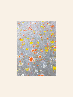 HERR UND FRAU RIO Riso Karte Blumenwiese gelb/orange & gelbes Couvert