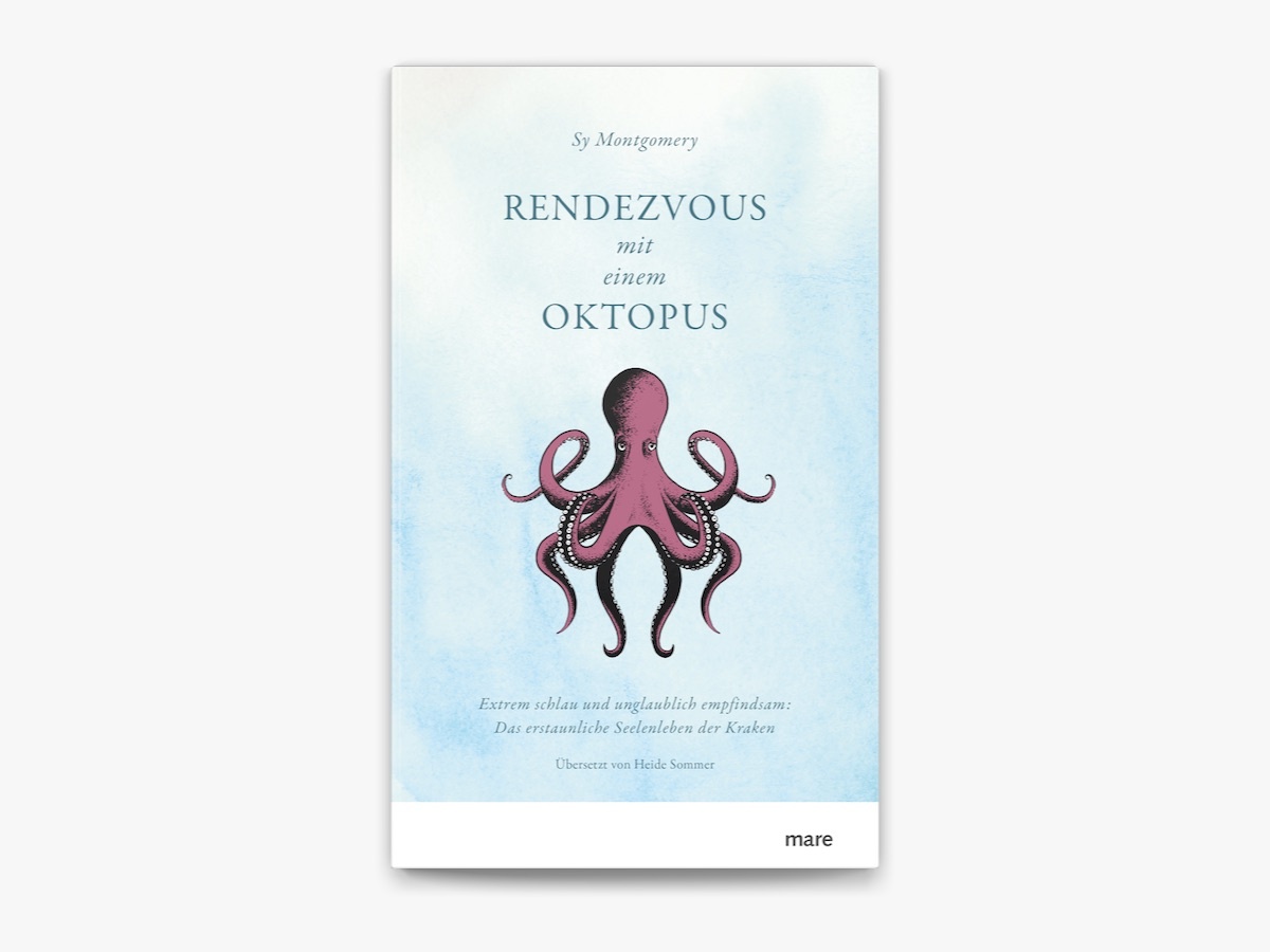 Rendezvous mit einem Oktopus – Hardcover – Sy Montgomery