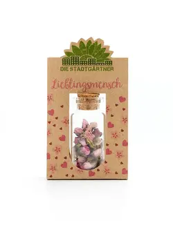 DIE STADTGÄRTNER Lieblingsmensch - Mein Herz schenkt dir Blumen