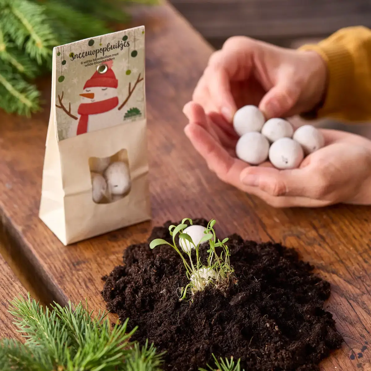 DIE STADTGÄRTNER 8 bunte Saatkugeln - Wildblumen / Schneemannbäuche