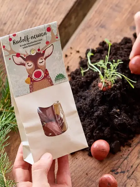 DIE STADTGÄRTNER 8 bunte Saatkugeln - Wildblumen / Rudolphnasen