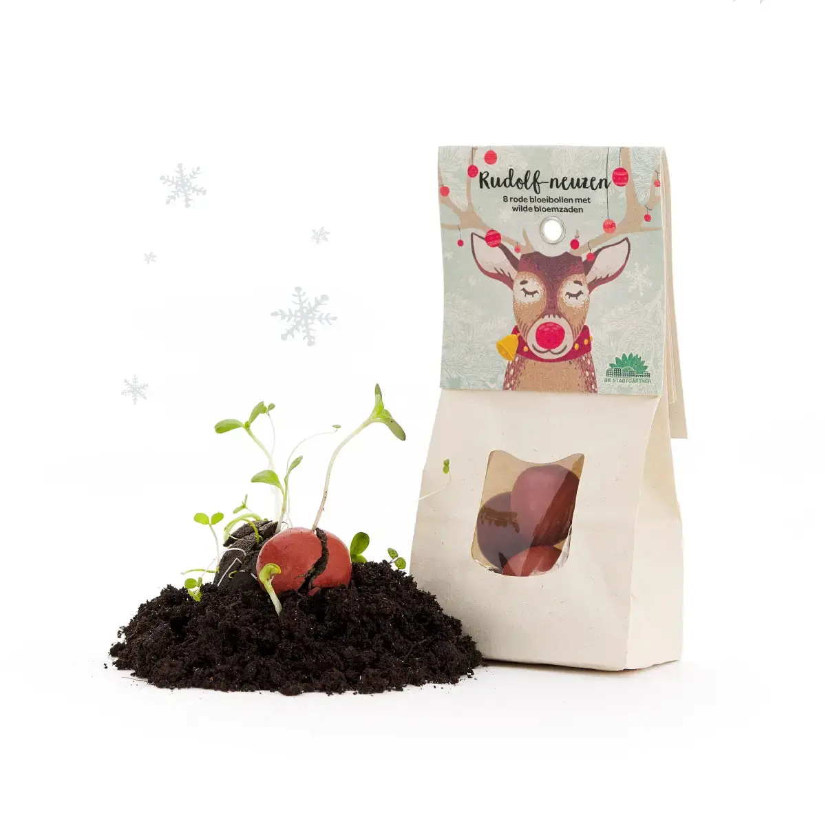 DIE STADTGÄRTNER 8 bunte Saatkugeln - Wildblumen / Rudolphnasen
