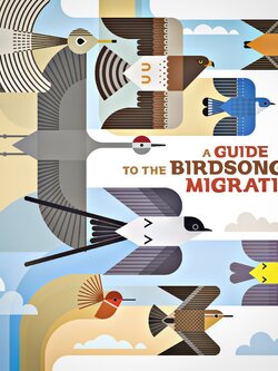 NÉ RECORDS A Guide To The Birdsong Of Migration