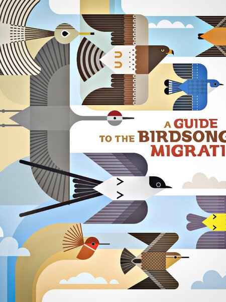 NÉ RECORDS A Guide To The Birdsong Of Migration