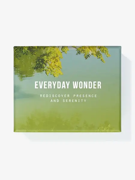 THE SCHOOL OF LIFE Everyday Wonder
