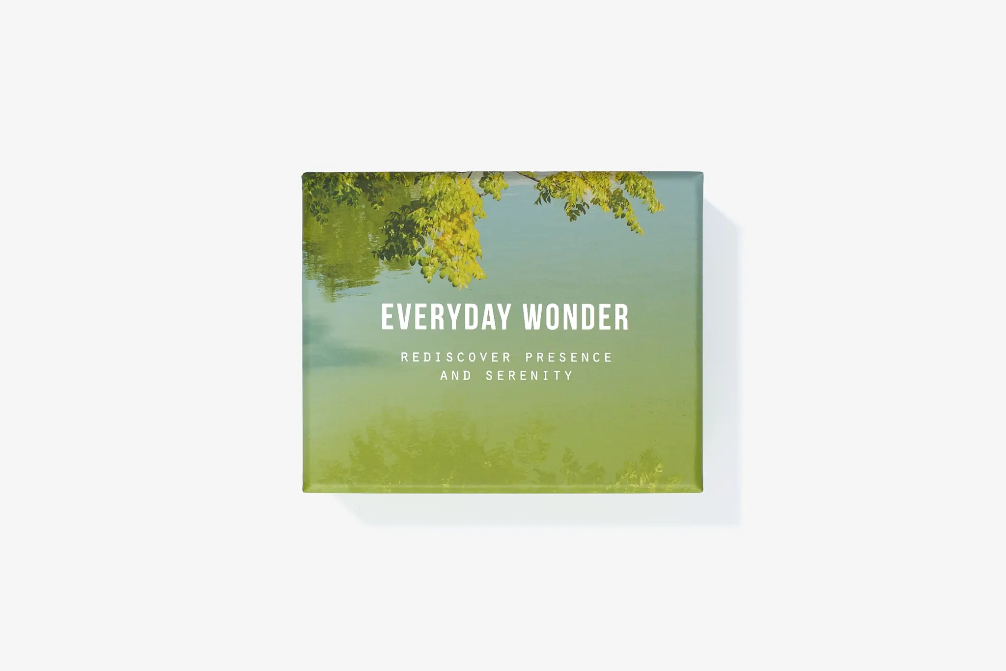 THE SCHOOL OF LIFE Everyday Wonder
