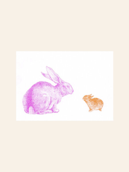 HERR UND FRAU RIO Riso Karte Mama & Baby Hase & transparentes Couvert