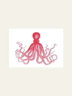 HERR UND FRAU RIO Riso Karte Oktopus & transparentes Couvert