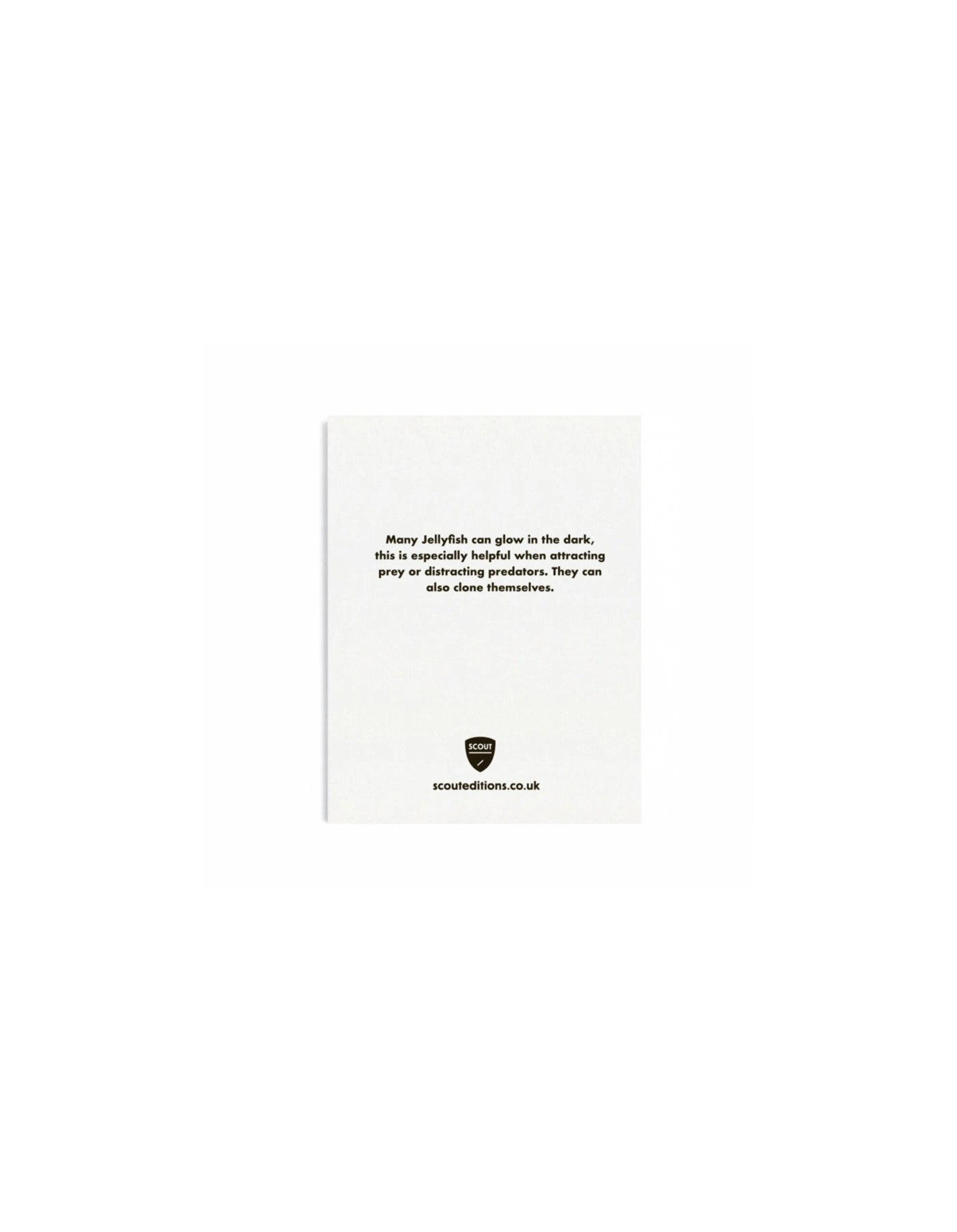 SCOUT EDITIONS Kleine Doppelkarte Qualle