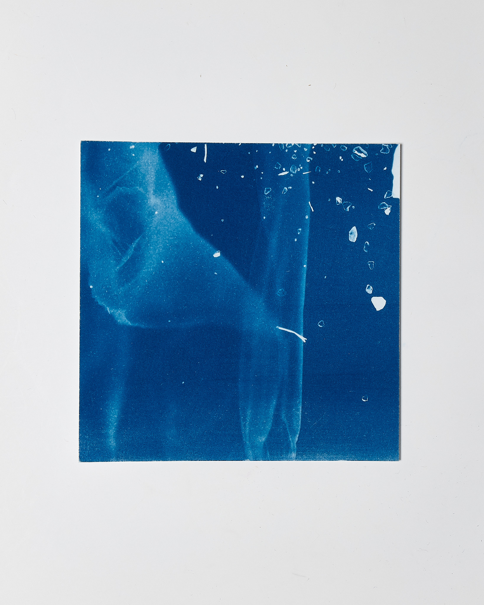 STUDIO SOMMER Original Cyanotype Edition N°1/26 – STELLAR TIDE – 12x12cm
