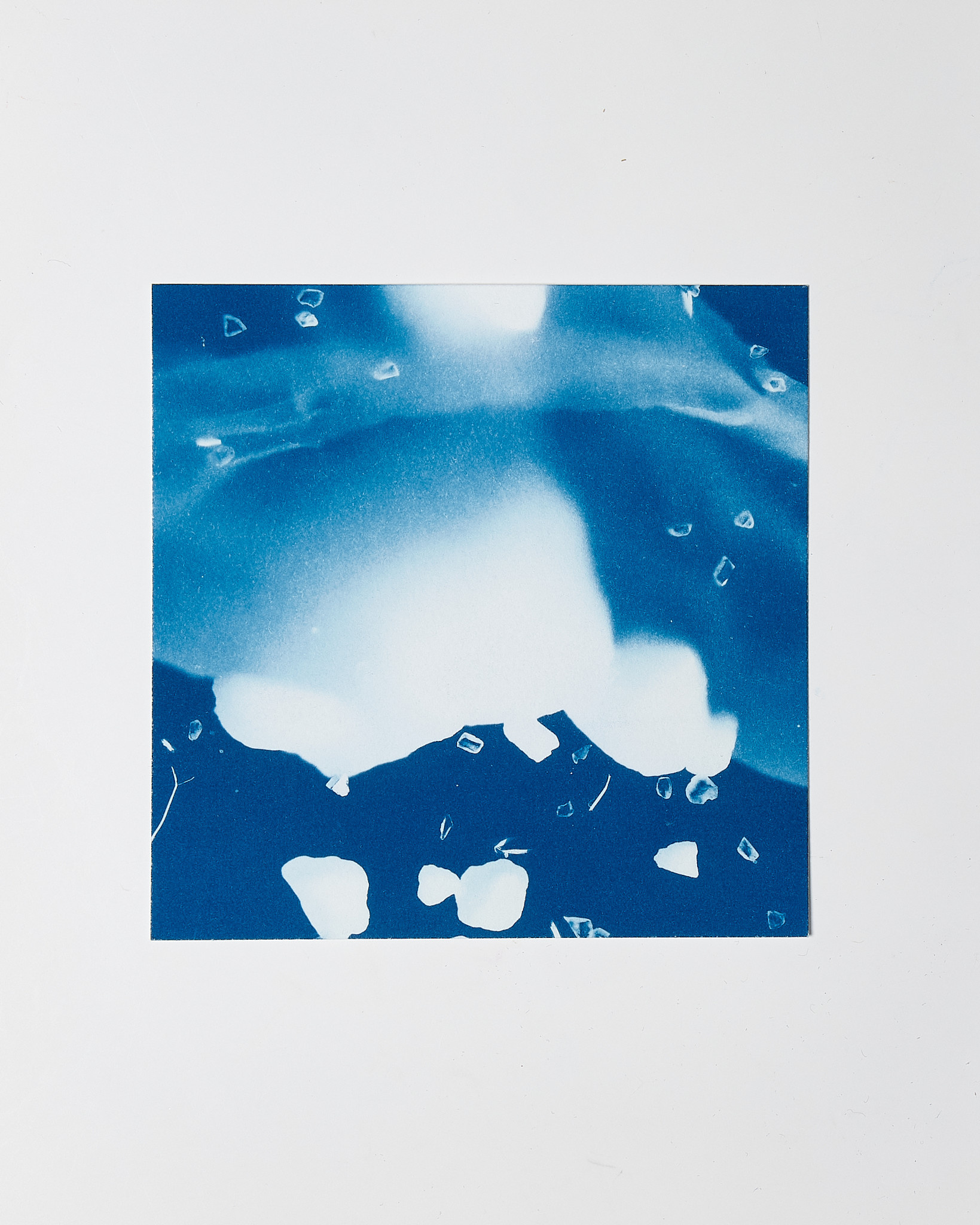 STUDIO SOMMER Original Cyanotype Edition N°2/26 – STELLAR TIDE – 12x12cm