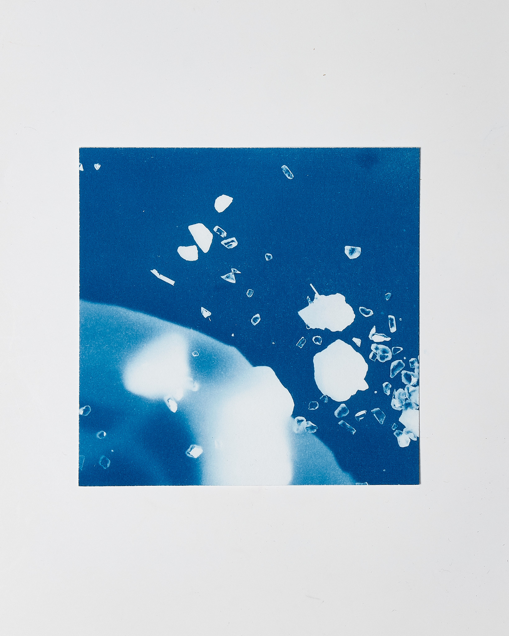 STUDIO SOMMER Original Cyanotype Edition N°3/26 – STELLAR TIDE – 12x12cm
