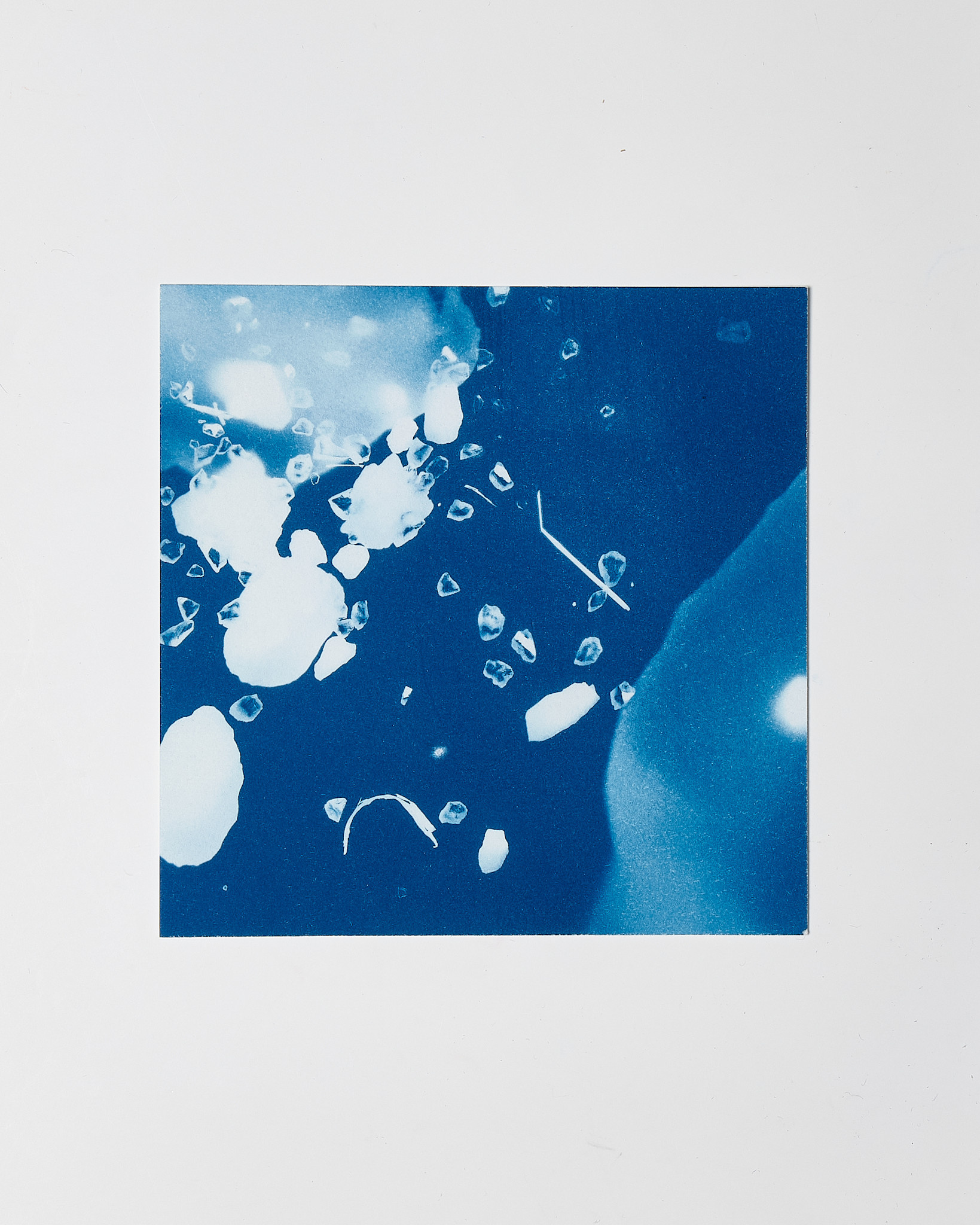 STUDIO SOMMER Original Cyanotype Edition N°4/26 – STELLAR TIDE – 12x12cm