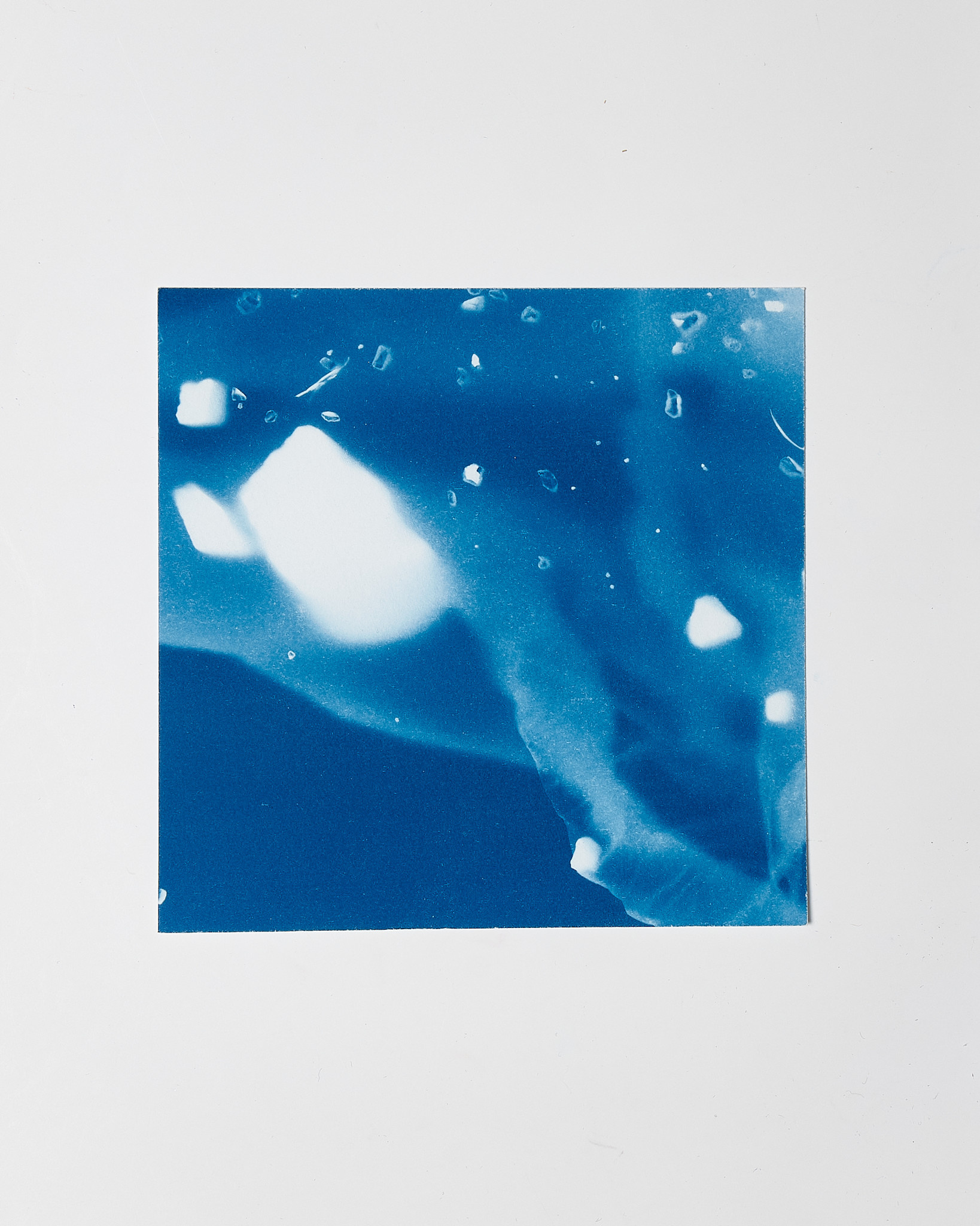 STUDIO SOMMER Original Cyanotype Edition N°6/26 – STELLAR TIDE – 12x12cm