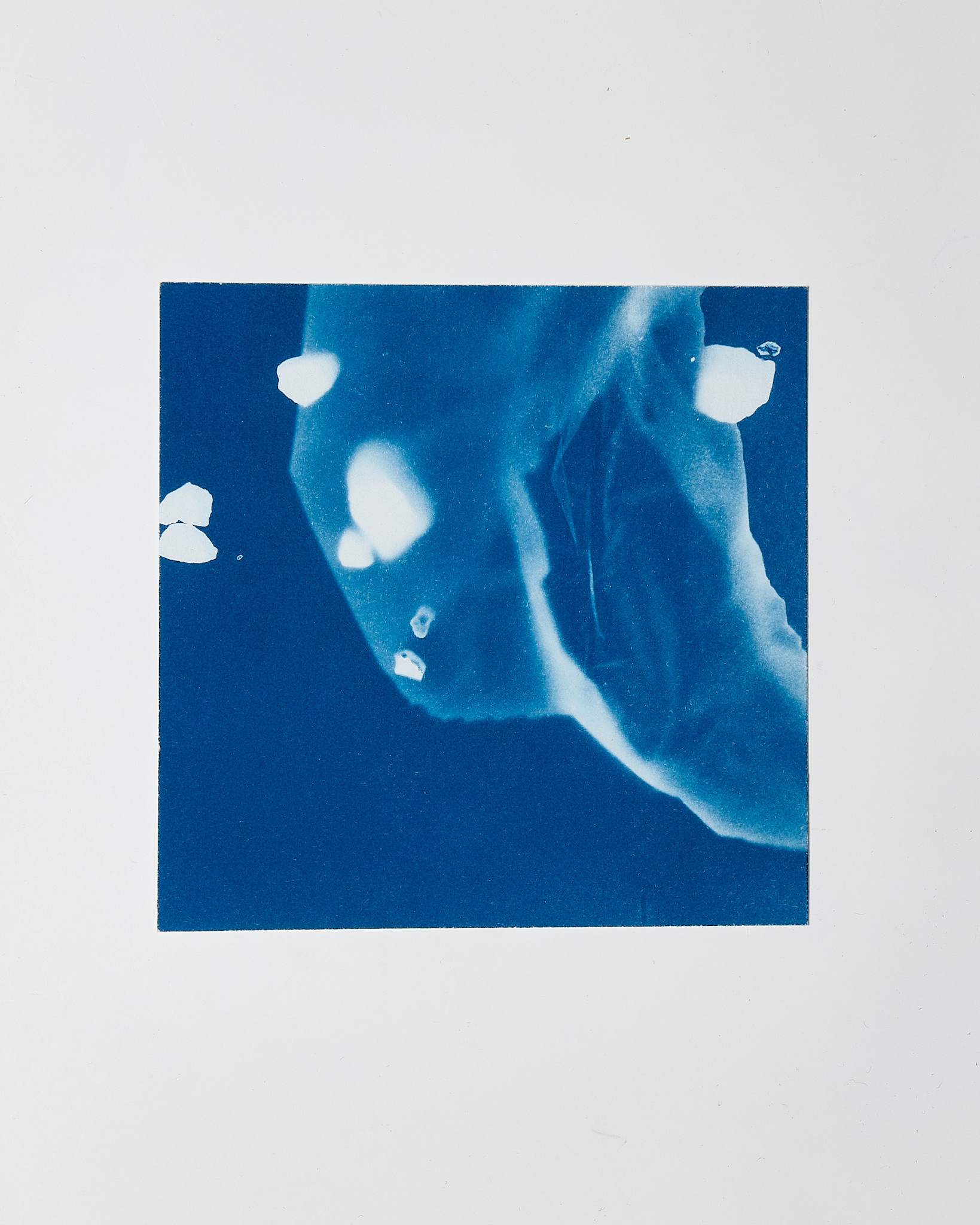 STUDIO SOMMER Original Cyanotype Edition N°7/26 – STELLAR TIDE – 12x12cm