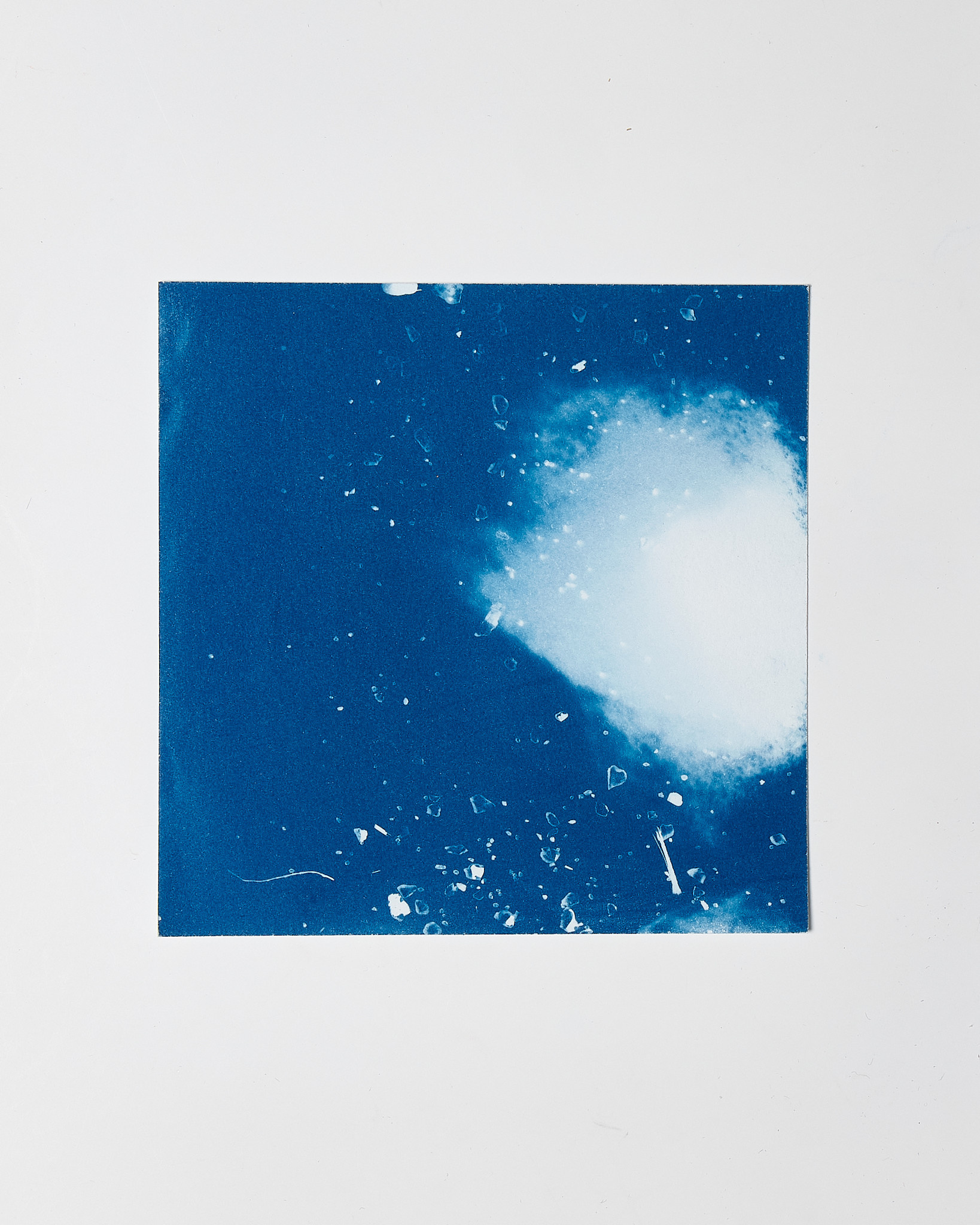 STUDIO SOMMER Original Cyanotype Edition N°8/26 – STELLAR TIDE – 12x12cm