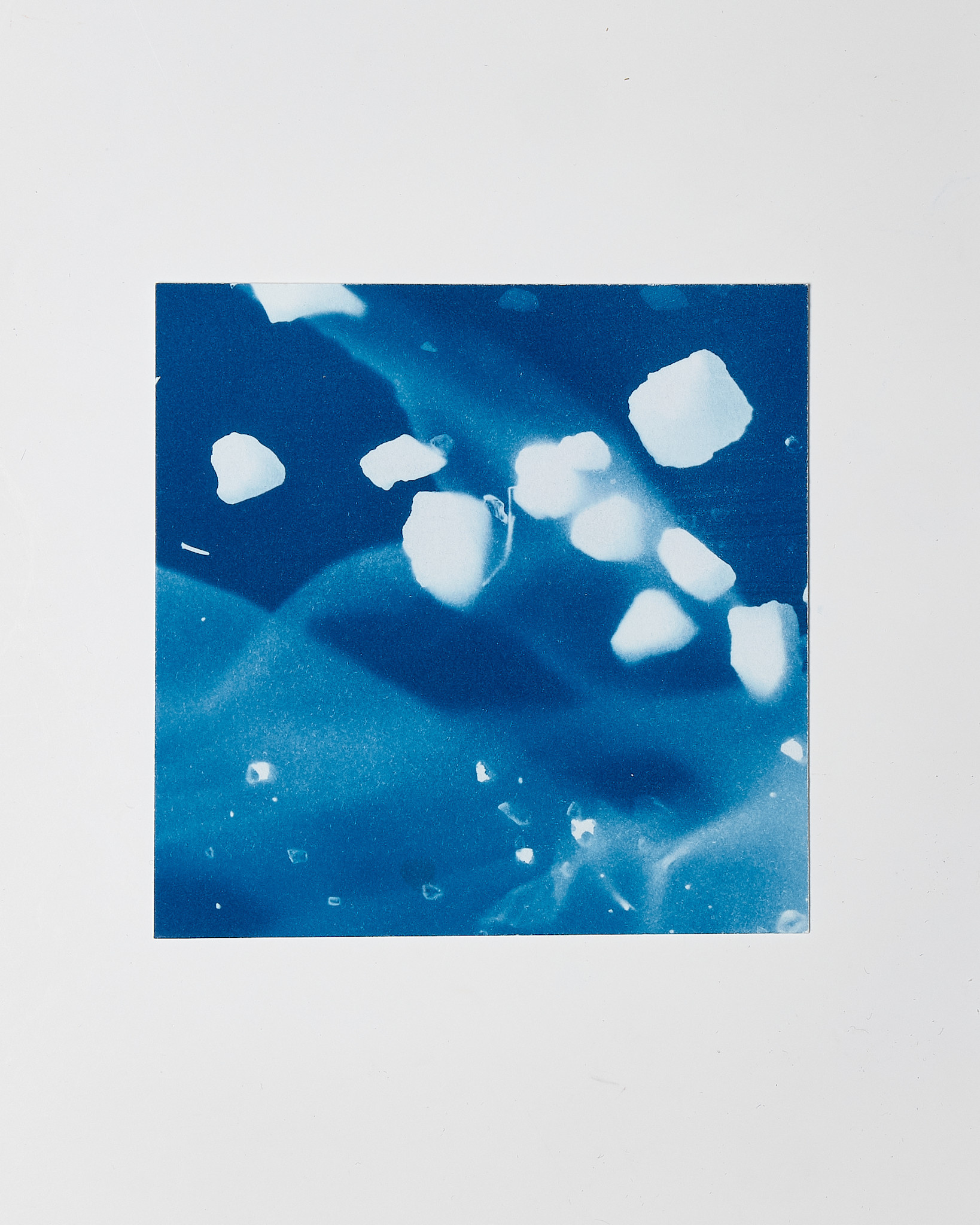 STUDIO SOMMER Original Cyanotype Edition N°9/26 – STELLAR TIDE – 12x12cm