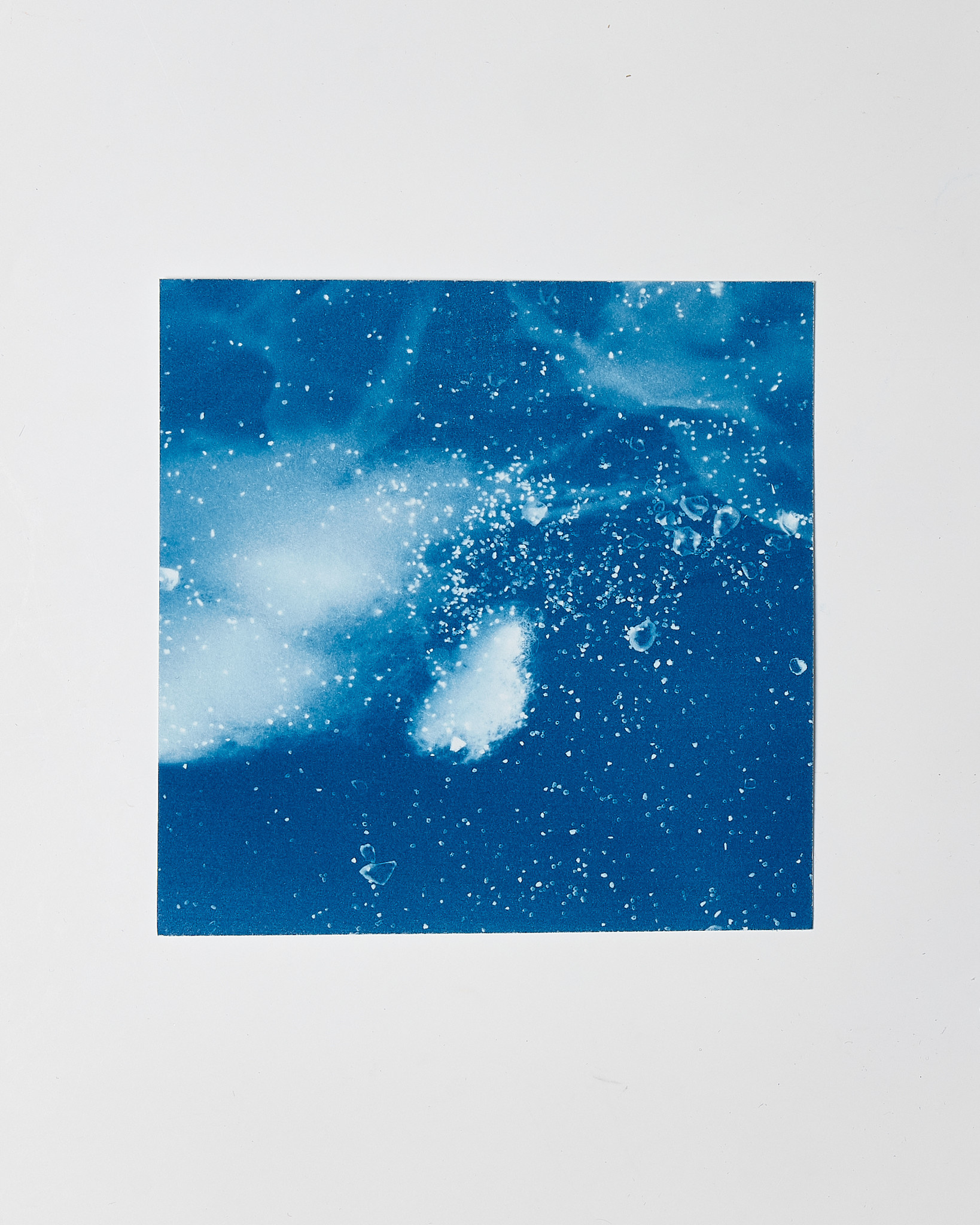 STUDIO SOMMER Original Cyanotype Edition N°10/26 – STELLAR TIDE – 12x12cm