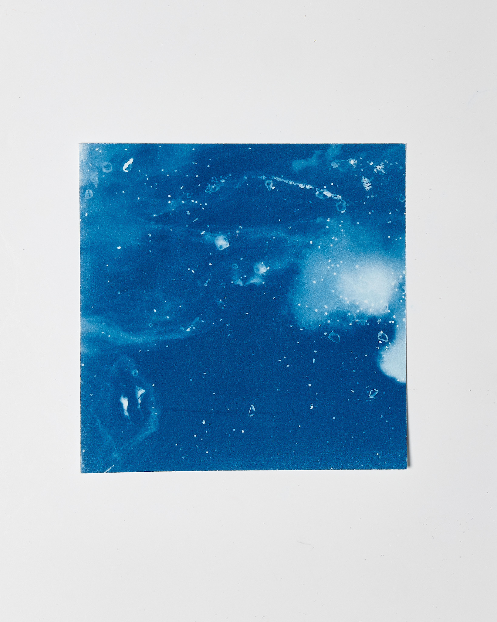 STUDIO SOMMER Original Cyanotype Edition N°12/26 – STELLAR TIDE – 12x12cm